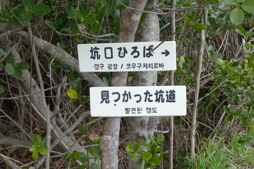 P1090953