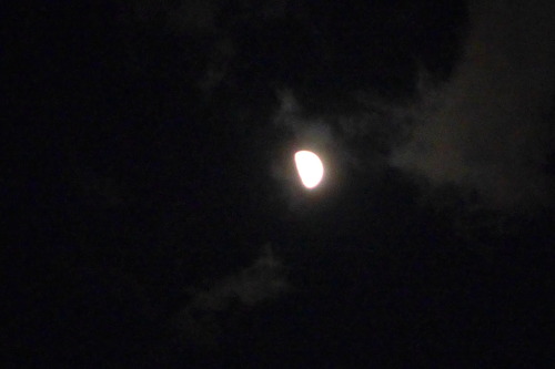 P1040498