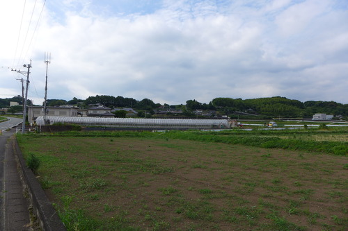 P1130668