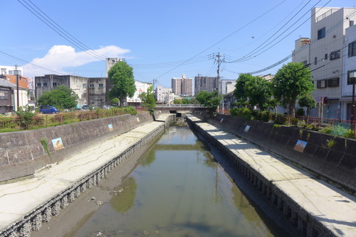 P1540765
