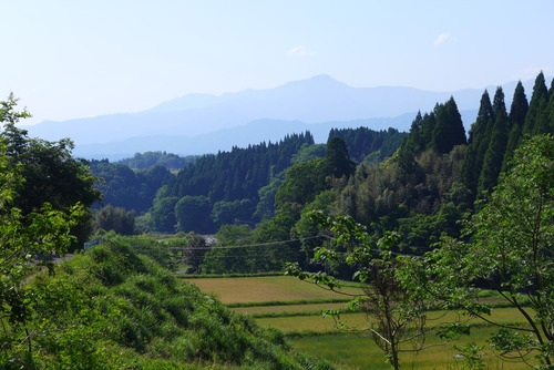 P1520673