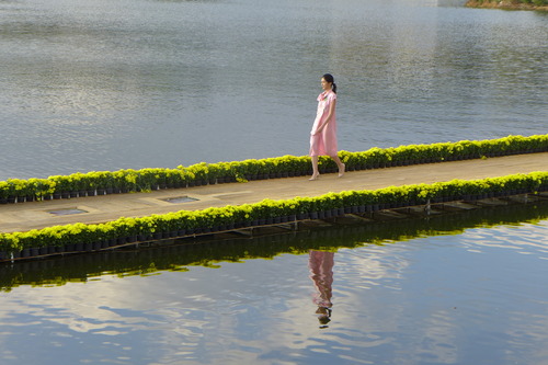 P1530429