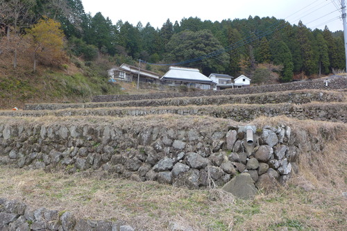 P1030227のコピー