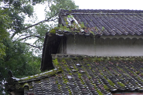 P1160048