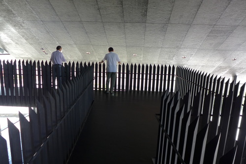P1170559
