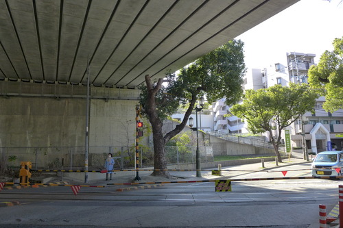P1070458