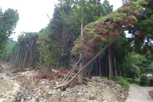 P1200240