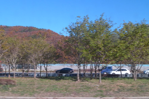 P1050788