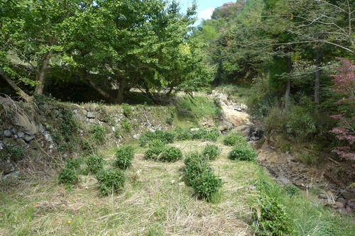 P1250776