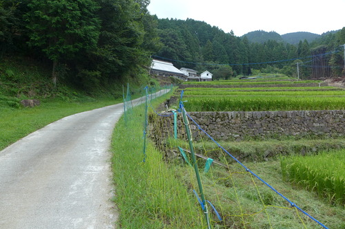 P1200269