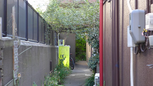P1260407