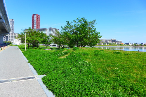 P1110700