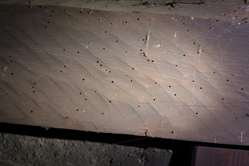 P1100876