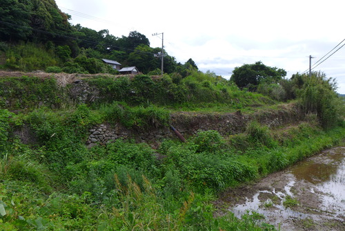 P1540033