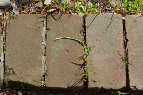 P1090223