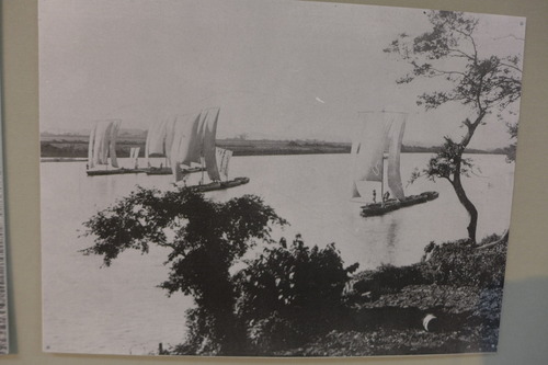 P1500436