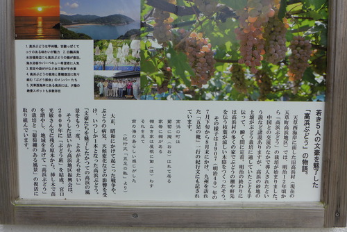 P1020656