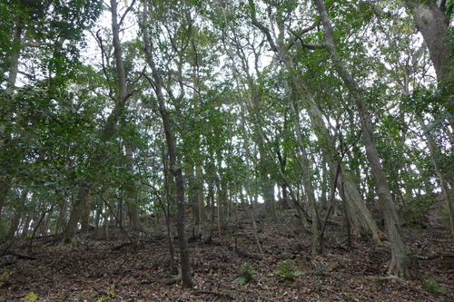 P1400956