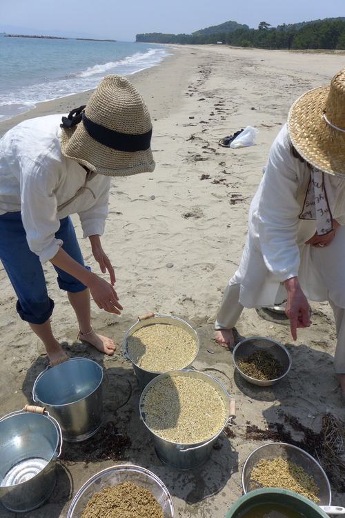 2022年5月8日（日）午前　豊後水道の奈多海岸にて。カテリーナ古楽器研究所（大分県杵築市山香町）は無農薬稲作も！最初の一歩は種籾の塩水洗から。