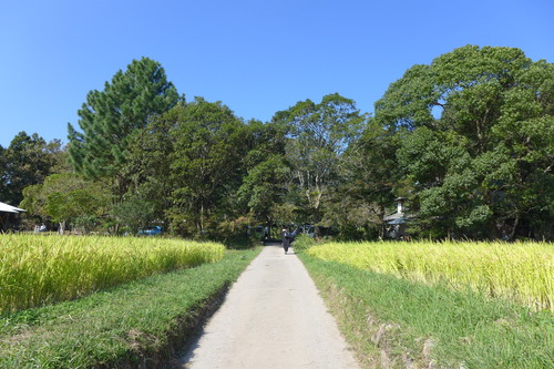 P1180891
