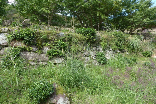 P1250774