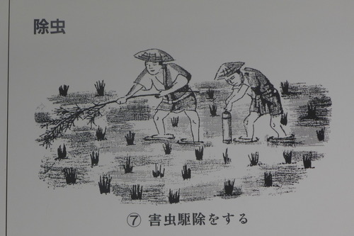 P1190476