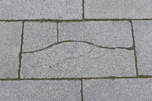 P1160941