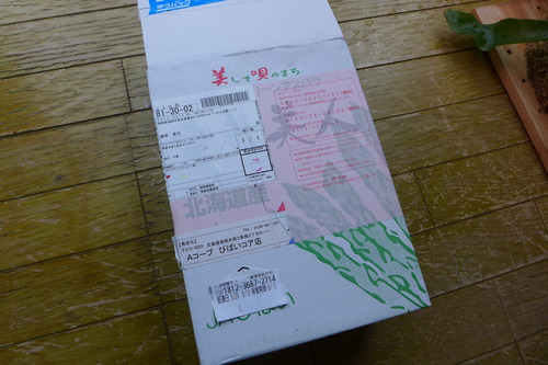 P1100292