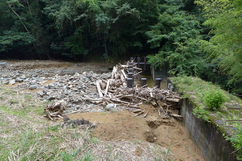 P1200280
