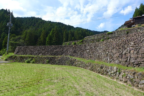 P1250796