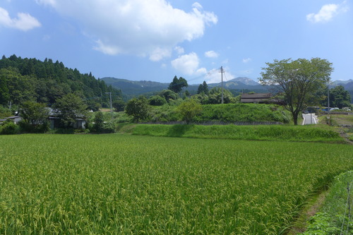 P1200920