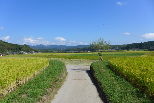 P1180963
