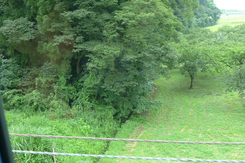 P1080971