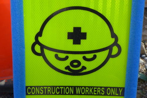 天草路上観察は藤田洋三さんに率いられた「2011御領世間遺産」以来か！？