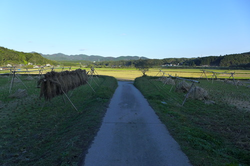 P1280017