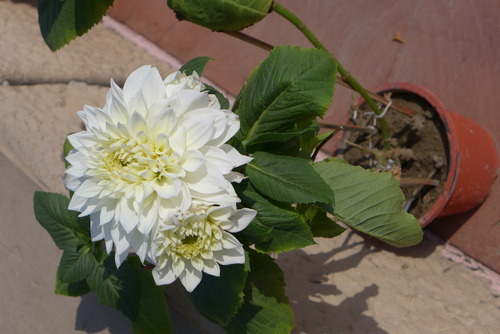 P1440906