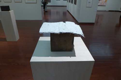 P1020050