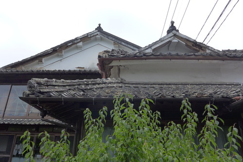 P1190756