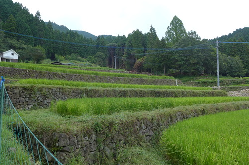 P1200268