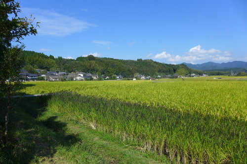 P1180944