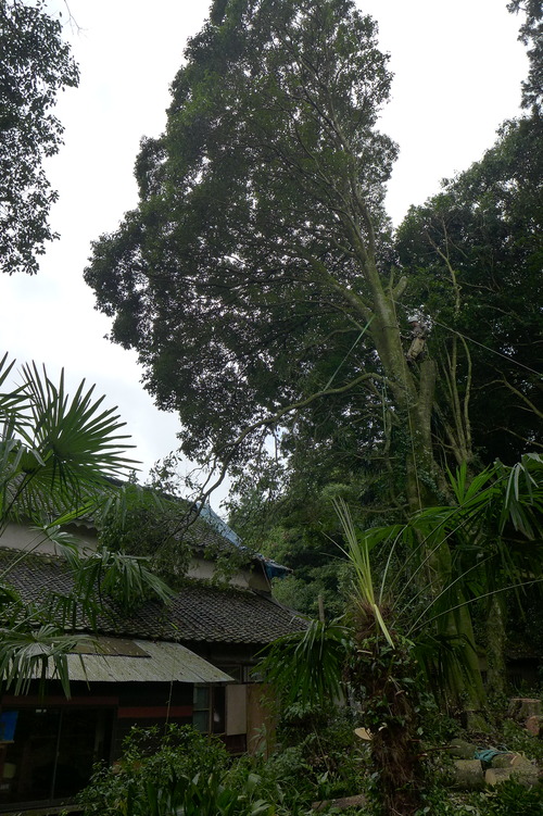 P1160820