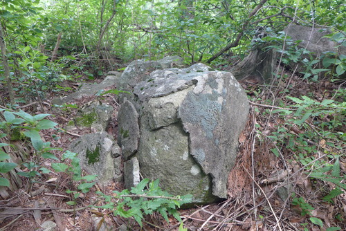 P1180831