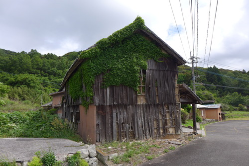 P1540020
