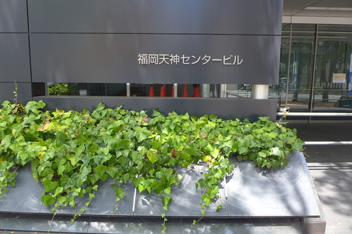 P1180281