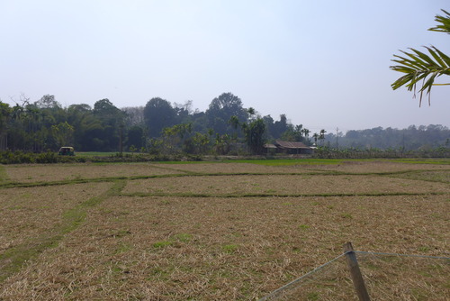 P1450575