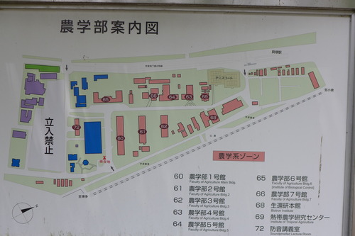 P1240695