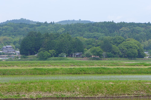 P1100830