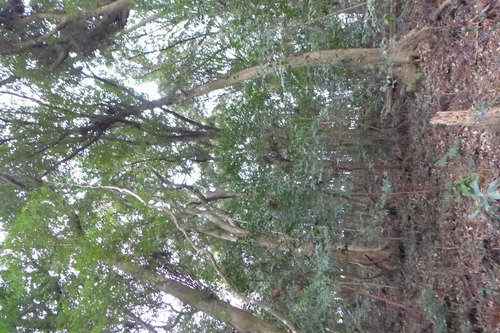 P1400953
