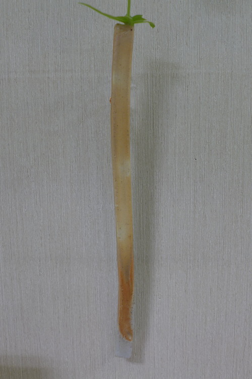 P1240236