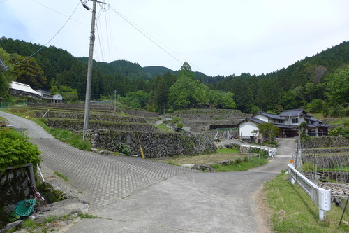 2023年5月8日午後、国選定重要文化的景観「小鹿田焼の里」池の鶴地区の棚田の様相を確認！